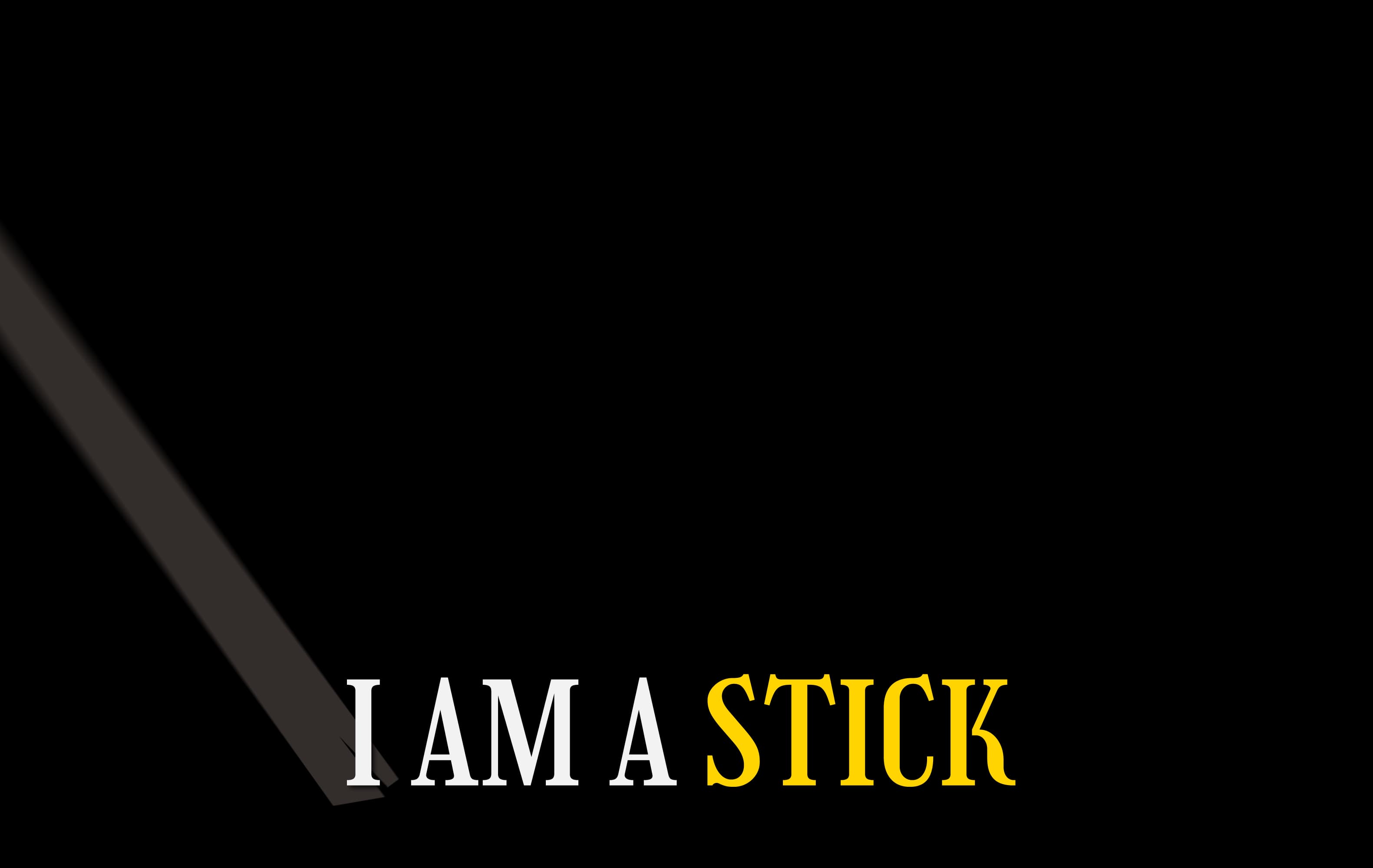 I Am a Stick Frame 12