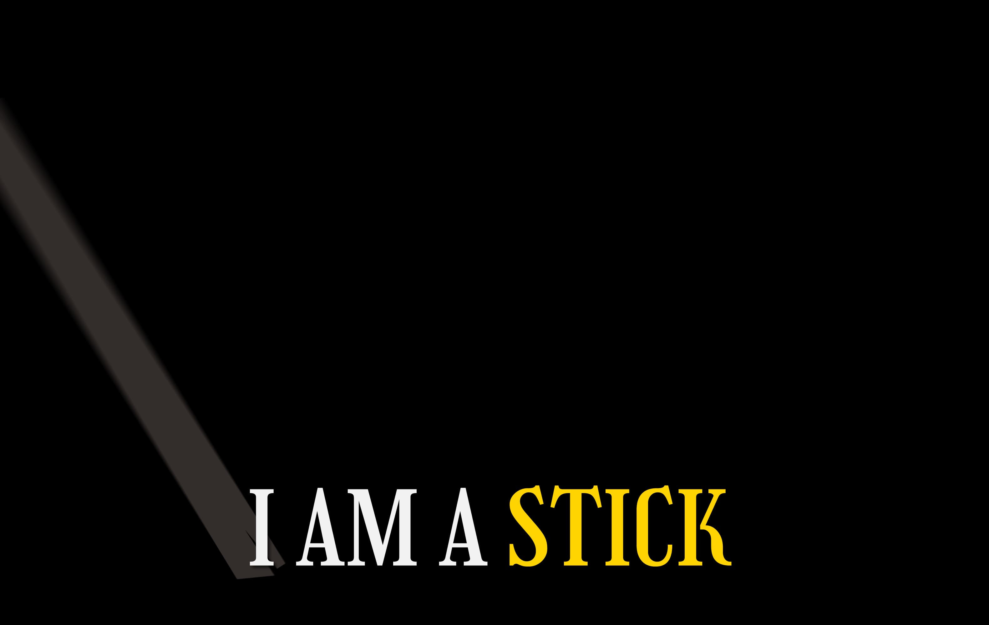 I Am a Stick Frame 13