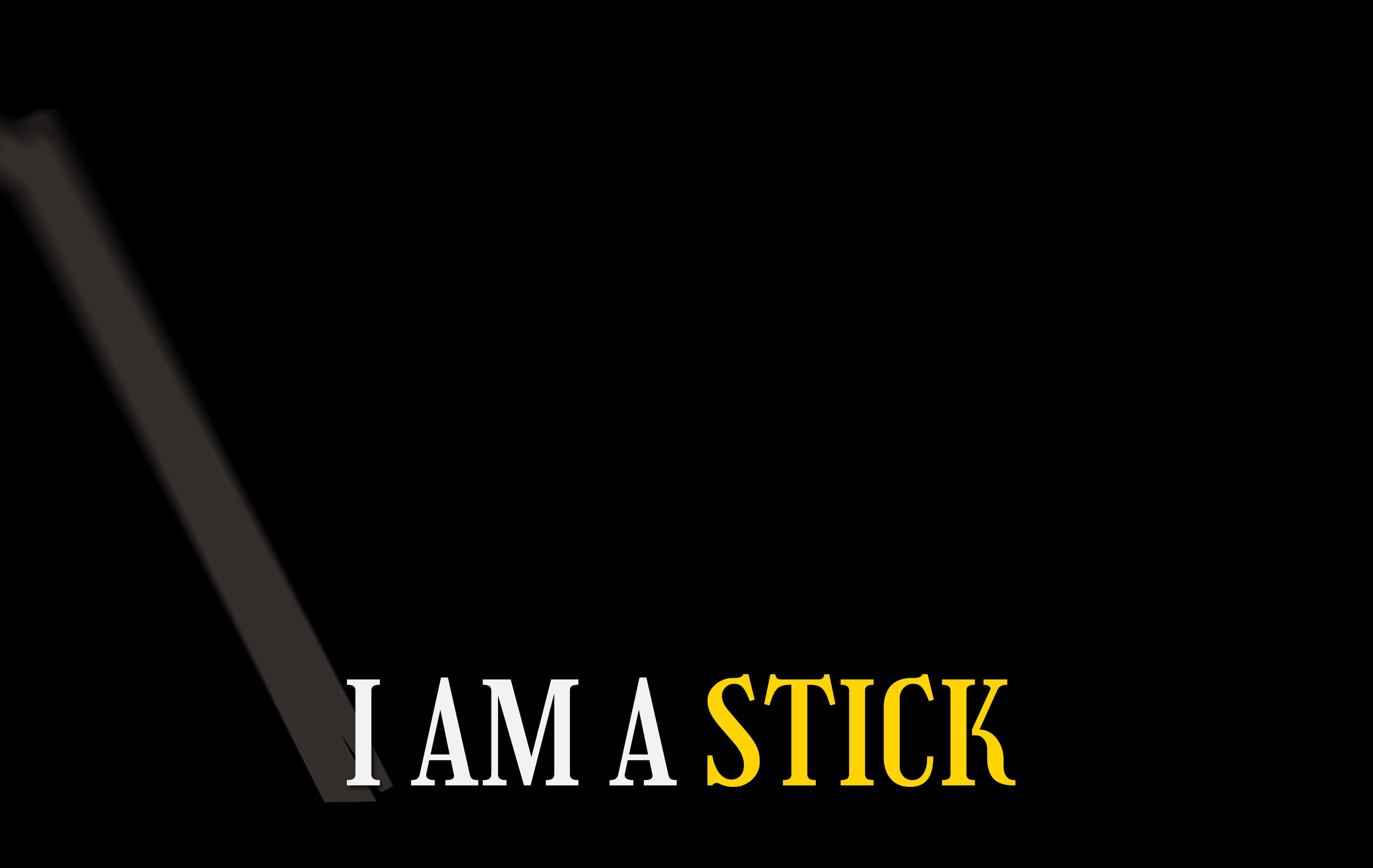 I Am a Stick Frame 14