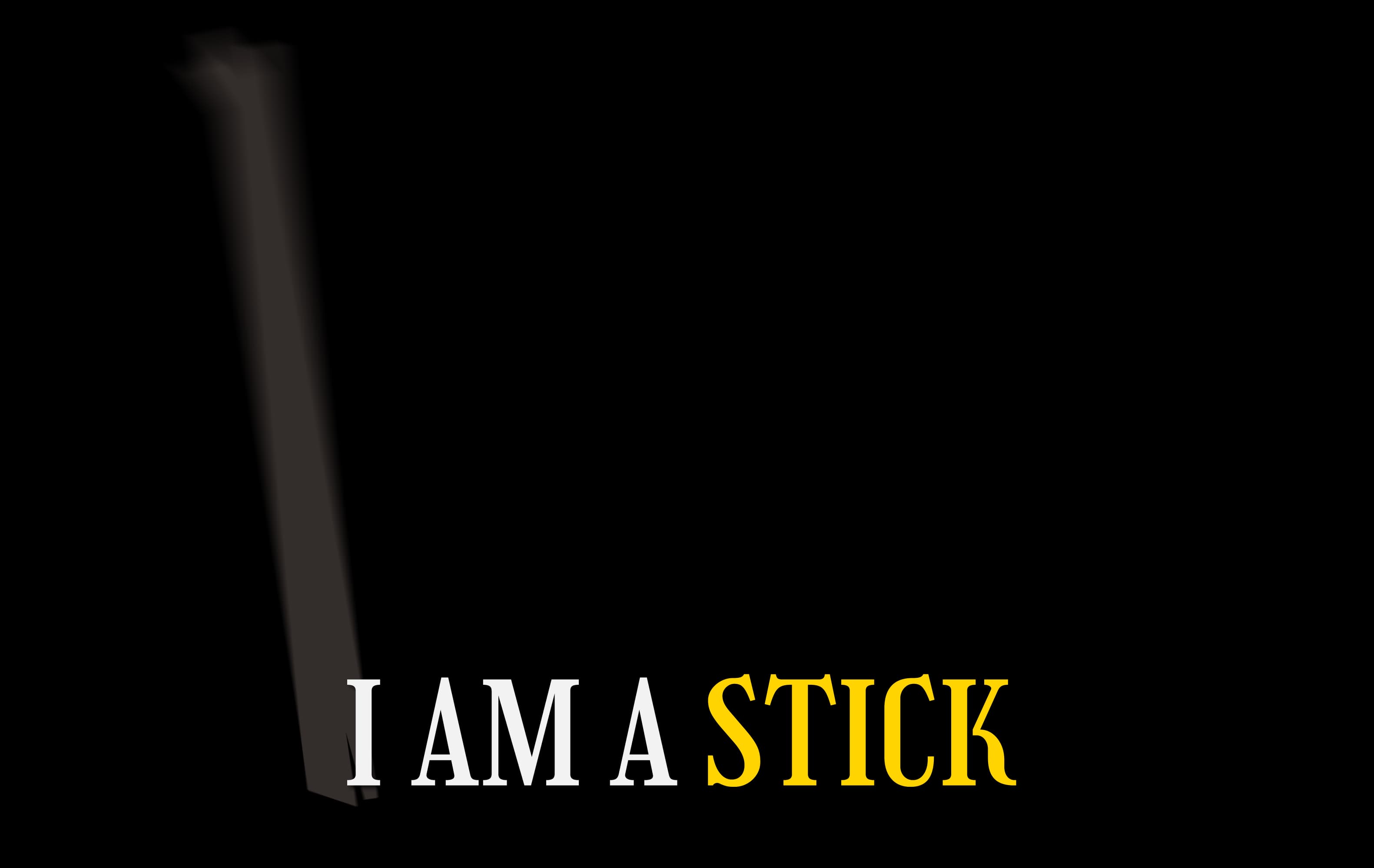 I Am a Stick Frame 17