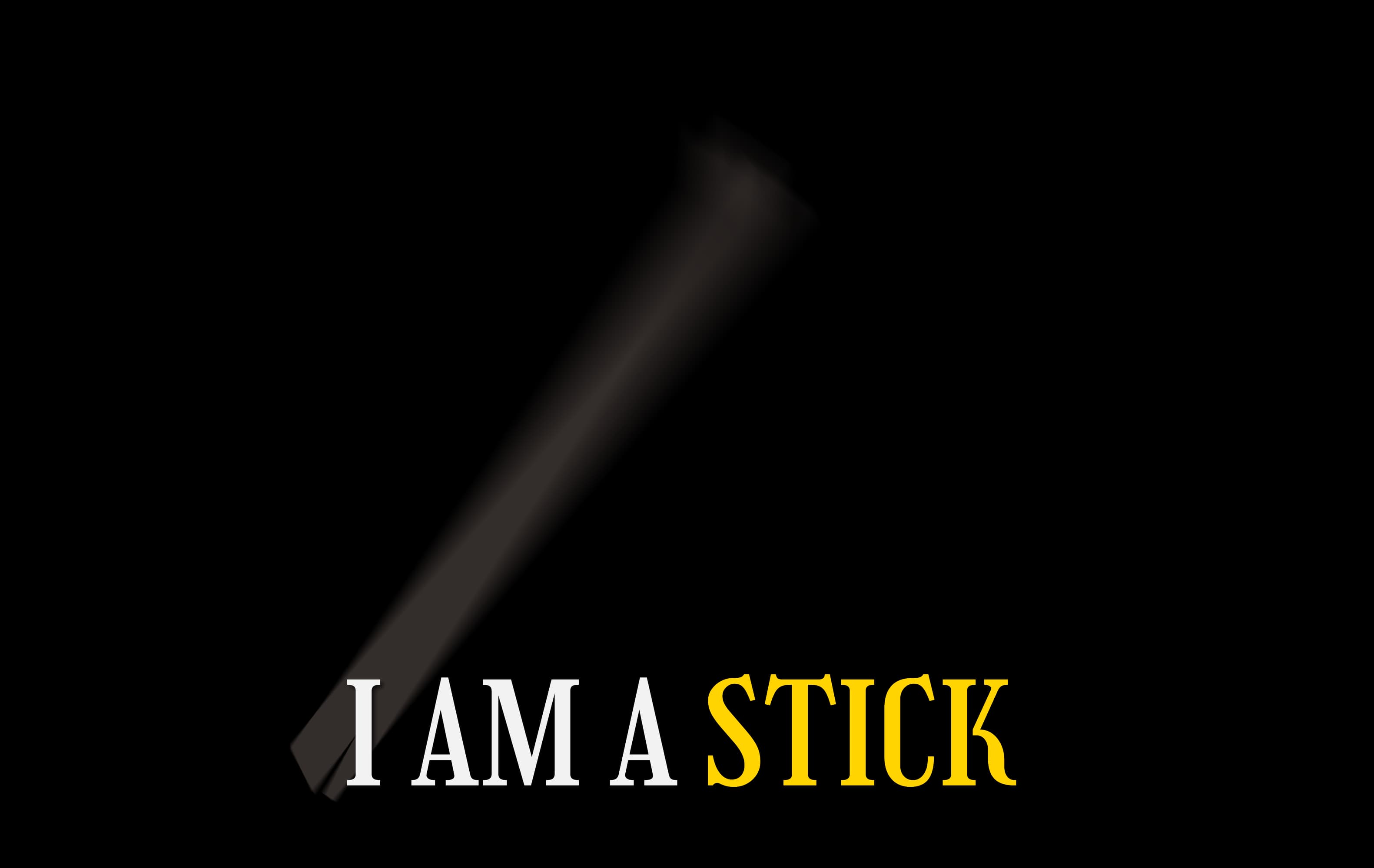 I Am a Stick Frame 21